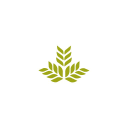 Northeast Georgia Health System